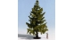 NOCH 28220 Sapin de Nordmann 13 cm